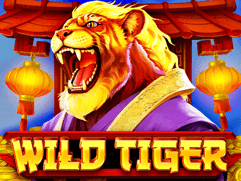 Wild Tiger screenshot